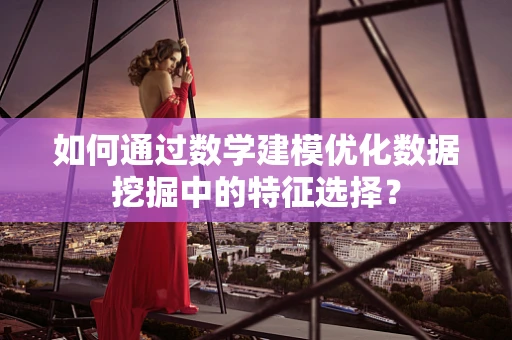 如何通过数学建模优化数据挖掘中的特征选择？
