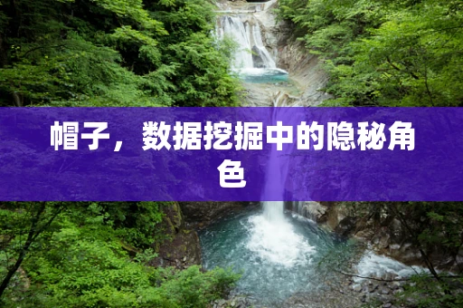 帽子，数据挖掘中的隐秘角色
