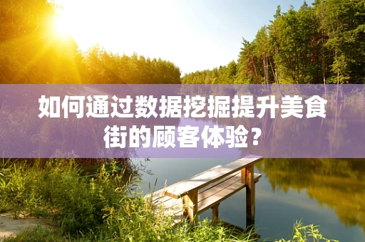 如何通过数据挖掘提升美食街的顾客体验？