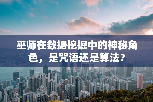 巫师在数据挖掘中的神秘角色，是咒语还是算法？