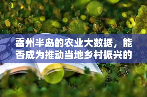 雷州半岛的农业大数据，能否成为推动当地乡村振兴的‘金钥匙’？