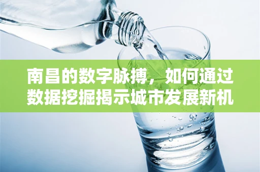 南昌的数字脉搏，如何通过数据挖掘揭示城市发展新机遇？