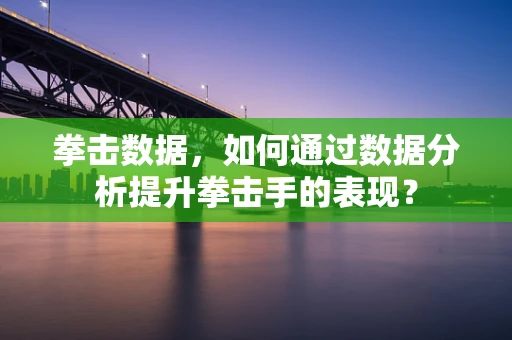 拳击数据，如何通过数据分析提升拳击手的表现？