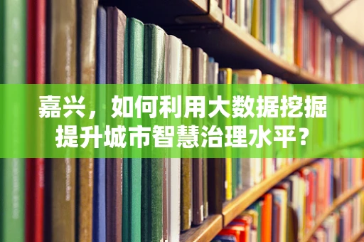 嘉兴，如何利用大数据挖掘提升城市智慧治理水平？