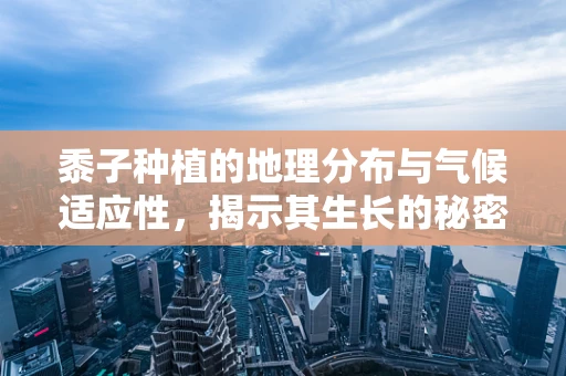 黍子种植的地理分布与气候适应性，揭示其生长的秘密