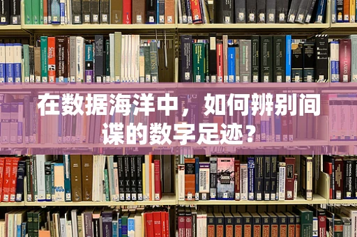 在数据海洋中，如何辨别间谍的数字足迹？