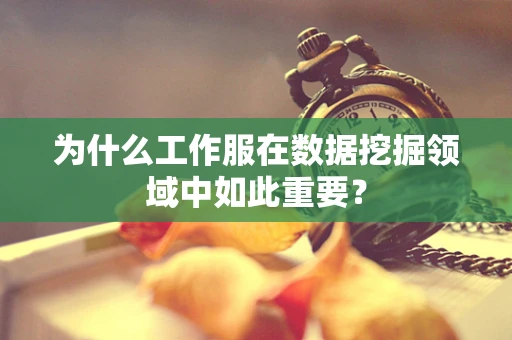 为什么工作服在数据挖掘领域中如此重要？