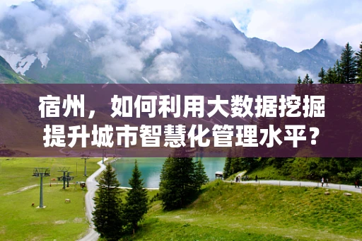 宿州，如何利用大数据挖掘提升城市智慧化管理水平？
