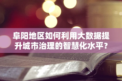 阜阳地区如何利用大数据提升城市治理的智慧化水平？