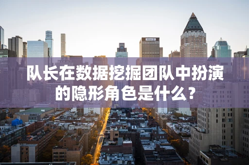 队长在数据挖掘团队中扮演的隐形角色是什么？