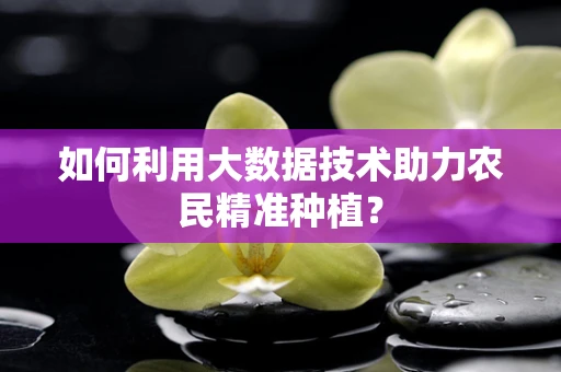 如何利用大数据技术助力农民精准种植？