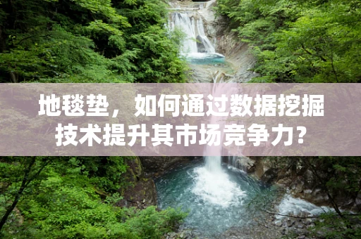 地毯垫，如何通过数据挖掘技术提升其市场竞争力？