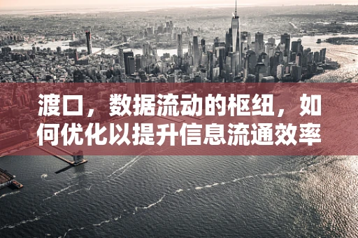 渡口，数据流动的枢纽，如何优化以提升信息流通效率？