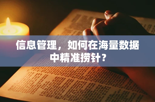 信息管理，如何在海量数据中精准捞针？