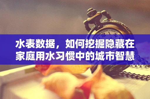 水表数据，如何挖掘隐藏在家庭用水习惯中的城市智慧？