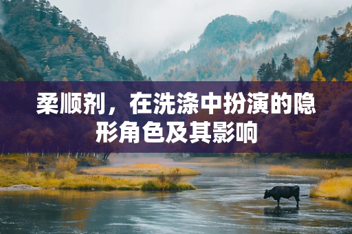 柔顺剂，在洗涤中扮演的隐形角色及其影响