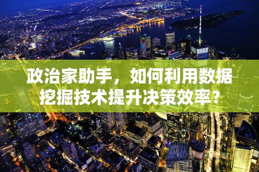 政治家助手，如何利用数据挖掘技术提升决策效率？