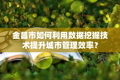 金昌市如何利用数据挖掘技术提升城市管理效率？