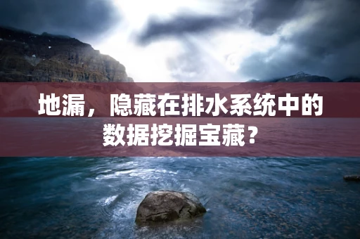 地漏，隐藏在排水系统中的数据挖掘宝藏？