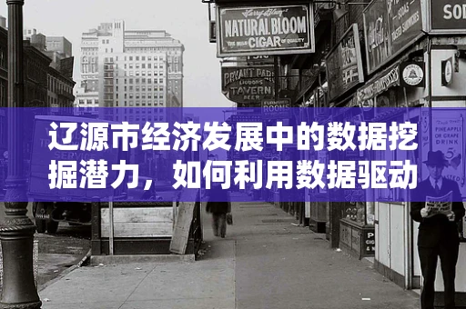 辽源市经济发展中的数据挖掘潜力，如何利用数据驱动城市发展？