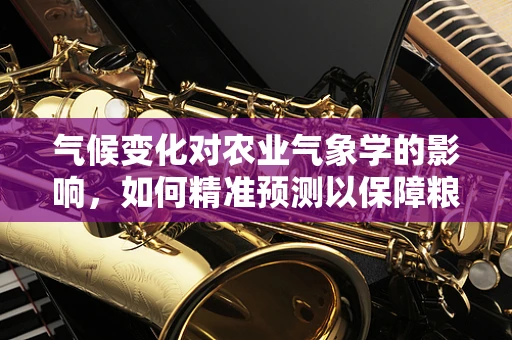 气候变化对农业气象学的影响，如何精准预测以保障粮食安全？
