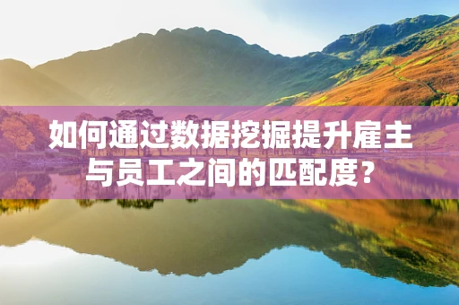 如何通过数据挖掘提升雇主与员工之间的匹配度？