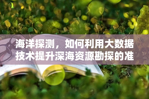 海洋探测，如何利用大数据技术提升深海资源勘探的准确性？