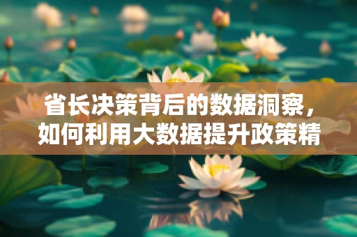 省长决策背后的数据洞察，如何利用大数据提升政策精准度？