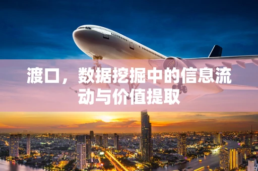 渡口，数据挖掘中的信息流动与价值提取