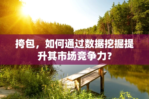 挎包，如何通过数据挖掘提升其市场竞争力？