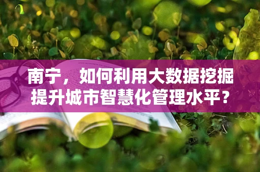 南宁，如何利用大数据挖掘提升城市智慧化管理水平？