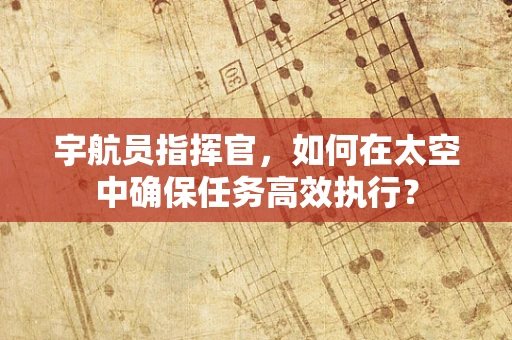 宇航员指挥官，如何在太空中确保任务高效执行？