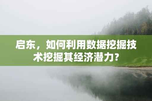 启东，如何利用数据挖掘技术挖掘其经济潜力？