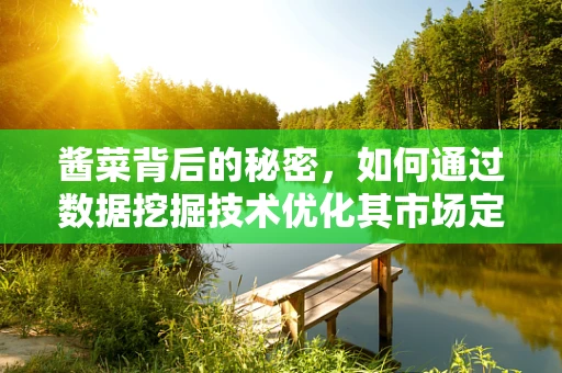 酱菜背后的秘密，如何通过数据挖掘技术优化其市场定位与消费者偏好分析？