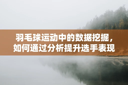 羽毛球运动中的数据挖掘，如何通过分析提升选手表现？