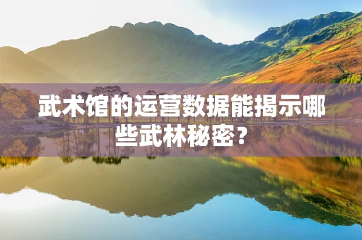 武术馆的运营数据能揭示哪些武林秘密？