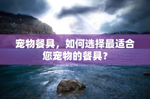 宠物餐具，如何选择最适合您宠物的餐具？