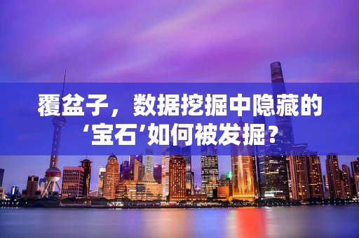 覆盆子，数据挖掘中隐藏的‘宝石’如何被发掘？