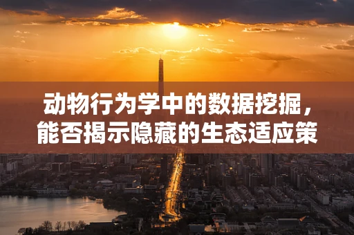动物行为学中的数据挖掘，能否揭示隐藏的生态适应策略？