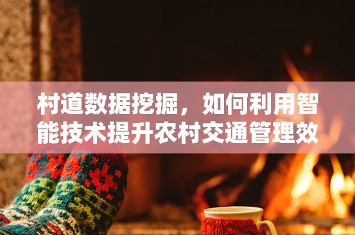 村道数据挖掘，如何利用智能技术提升农村交通管理效率？