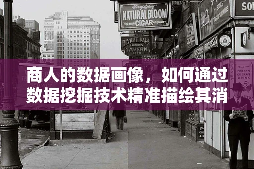 商人的数据画像，如何通过数据挖掘技术精准描绘其消费行为？
