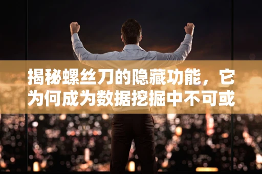 揭秘螺丝刀的隐藏功能，它为何成为数据挖掘中不可或缺的工具？
