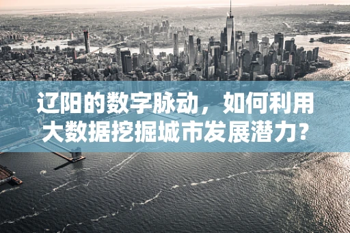 辽阳的数字脉动，如何利用大数据挖掘城市发展潜力？