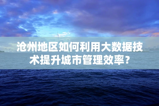 沧州地区如何利用大数据技术提升城市管理效率？
