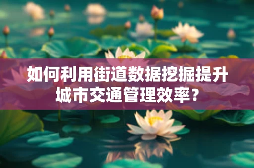 如何利用街道数据挖掘提升城市交通管理效率？