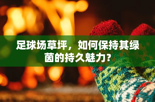 足球场草坪，如何保持其绿茵的持久魅力？