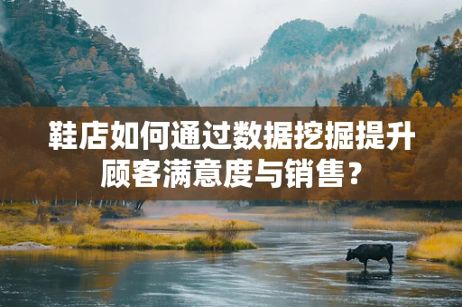 鞋店如何通过数据挖掘提升顾客满意度与销售？