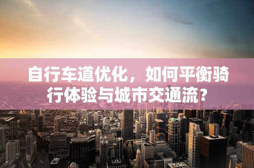 自行车道优化，如何平衡骑行体验与城市交通流？