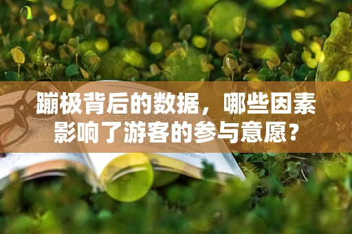 蹦极背后的数据，哪些因素影响了游客的参与意愿？