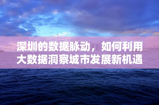 深圳的数据脉动，如何利用大数据洞察城市发展新机遇？